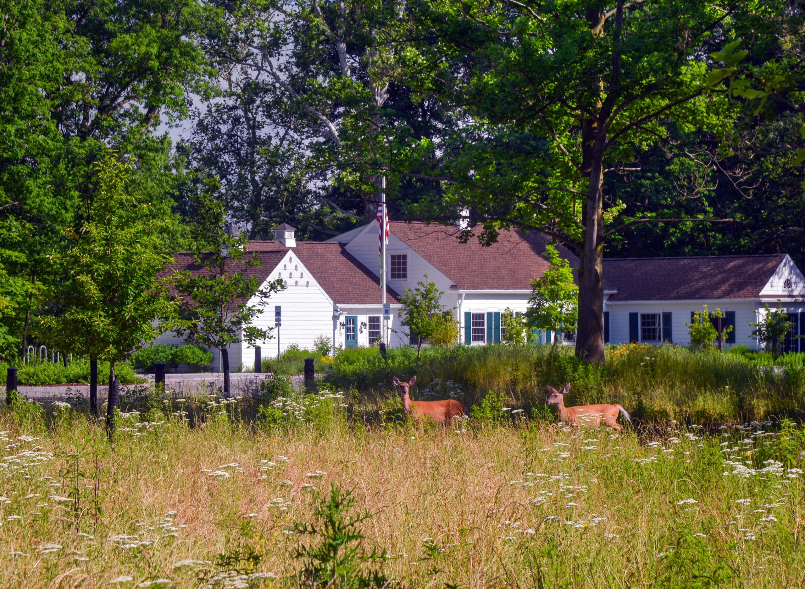 Brookwood Area Metropark