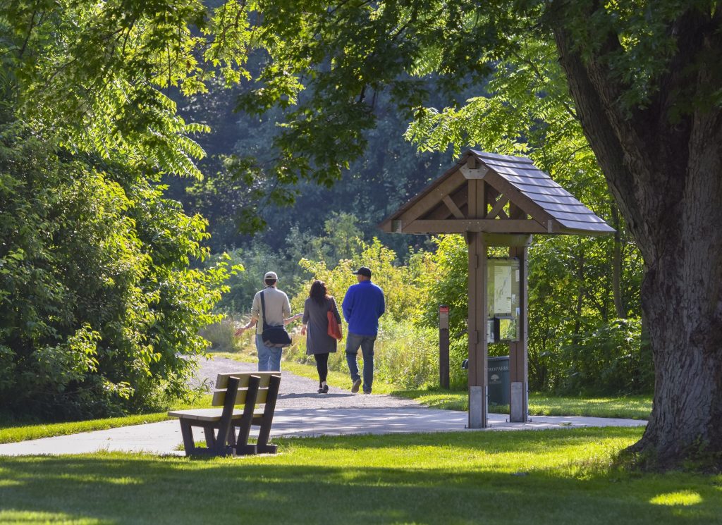 Three people strolling down a lush trail at the park.